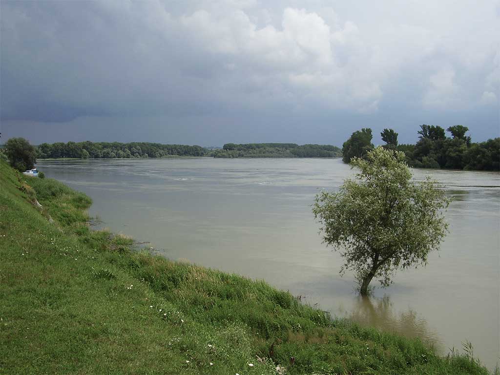 Dalj - Pogled na Dunav s daljske šetnice (Vukmanić 2011)
