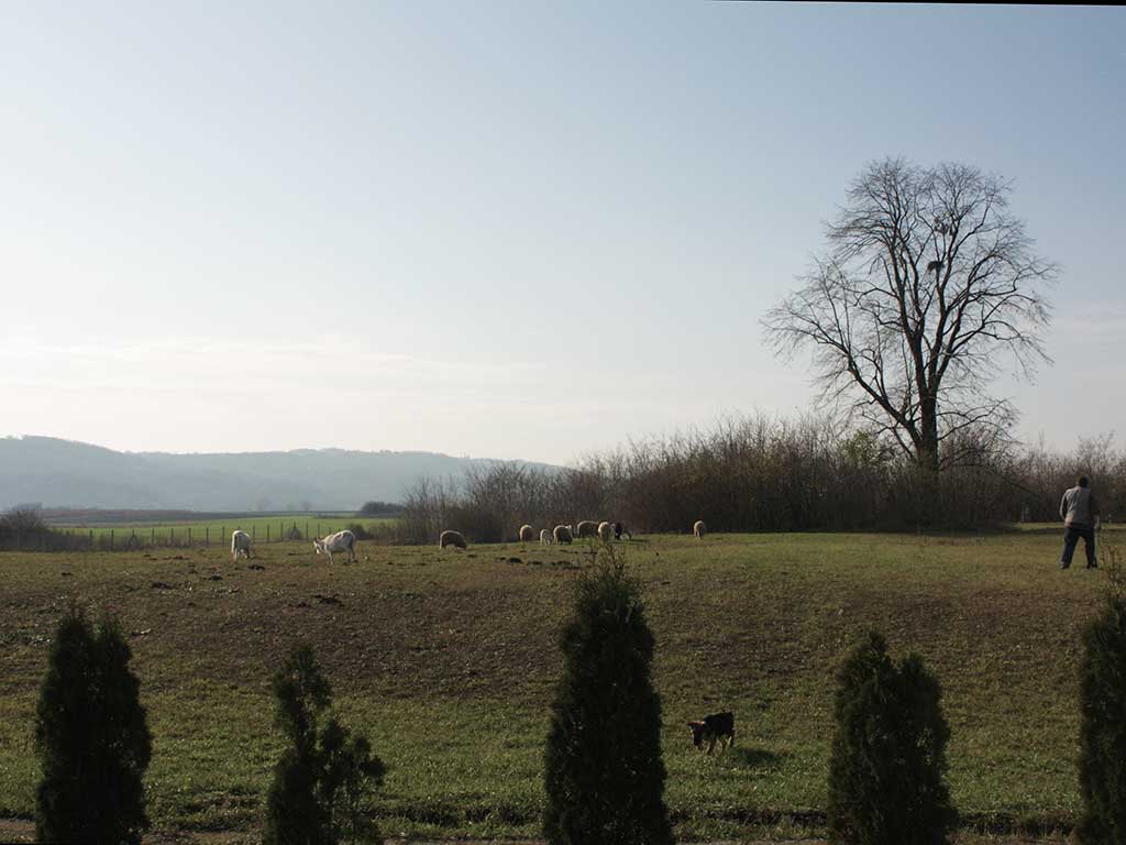 Popovac - Potential Roman military camp site (Vukmanić 2009)