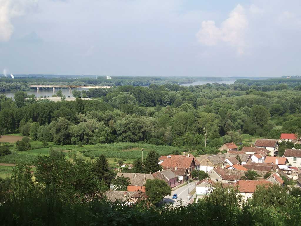 Ilok - The Danube in Ilok (Vukmanić 2011)