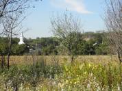 Zmajevac (Várhegy) - Visoka lesna terasa kod Zmajevca (Vukmanić 2013)