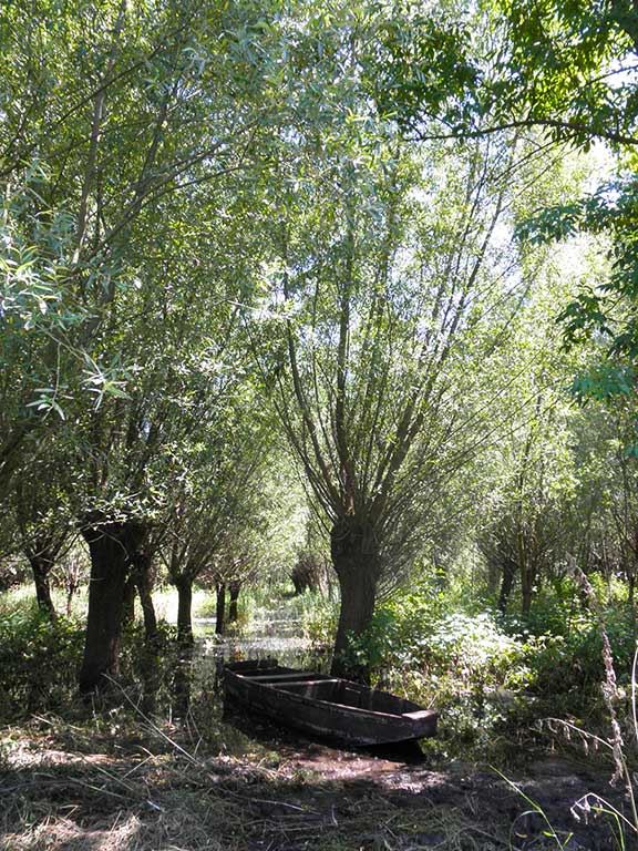 Kopačevo - Wettland conditions (Dujmić 2010)