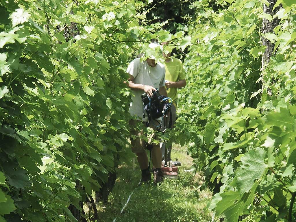 Batina - Istraživanje georadarskom metodom 2013 (Vukmanić 2013)