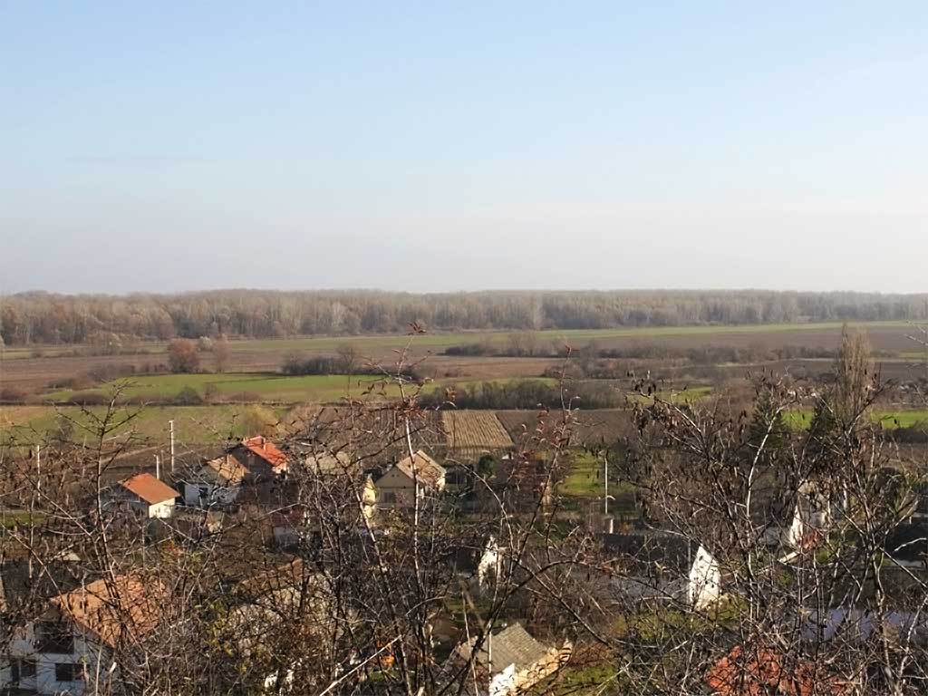 Zmajevac (Várhegy) - Dunavsko plavno područje kod Zmajevca (Vukmanić 2013)