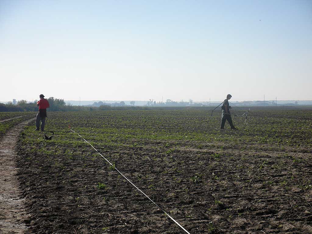 Kneževi Vinogradi - Geophysical survey (Vukmanić 2013)