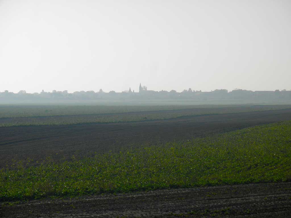 Kneževi Vinogradi - The Danube alluvial terrace (Vukmanić 2013)