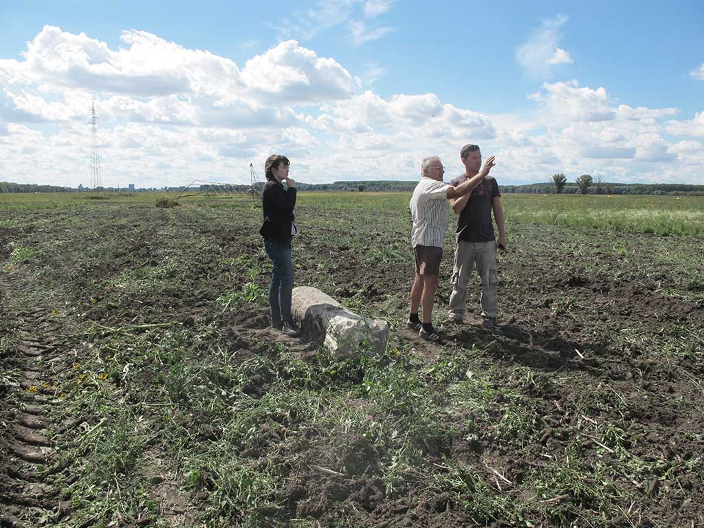 Bilje - Miljokaz, 2. st. (Hršak 2013)