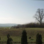Popovac - Mjesto potencijalnog rimskog vojnog logora (Vukmanić 2009)