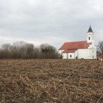 Sotin - Izgled lokaliteta (Vukmanić 2009)