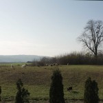Popovac - Mjesto potencijalnog rimskog vojnog logora (Vukmanić 2009)